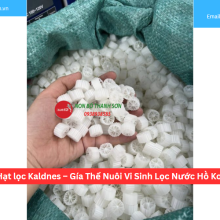 Hạt lọc Kaldnes – Gía Thể Nuôi Vi Sinh Lọc Nước Hồ Koi