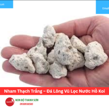 Nham Thạch Trắng – Đá Lông Vũ Lọc Nước Hồ Koi