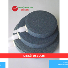 Đĩa Sủi Đá 30Cm