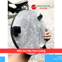 Nấm hút đáy Hoa Cương