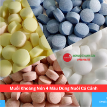 Muối Khoáng Nén 4 Màu Dùng Nuôi Cá Cảnh