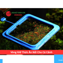 Vòng Giữ Thức Ăn Nổi Cho Cá Cảnh