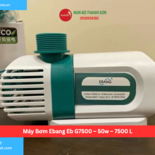 Máy Bơm Ebang Eb G7500 – 50w – 7500 L