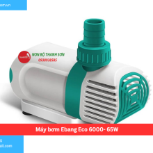 Máy bơm Ebang Eco 6000- 65W