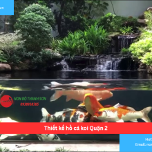 Bảng báo giá thiết kế hồ cá koi Quận 2
