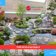 Bảng báo giá thiết kế hồ cá koi Quận 3