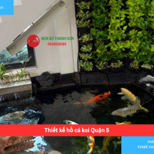 Bảng báo giá thiết kế hồ cá koi Quận 5