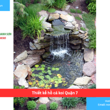 Bảng báo giá thiết kế hồ cá koi Quận 7