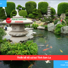 Bảng Báo Giá Thiết kế hồ cá koi Tỉnh Sơn La