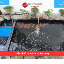 Bảng báo giá thiết kế hồ cá koi tỉnh Lâm Đồng