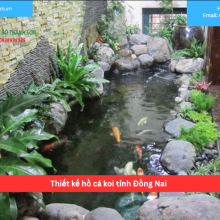Bảng báo giá thiết kế hồ cá koi tỉnh Đồng Nai 