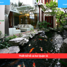 Bảng báo giá thiết kế hồ cá koi Quận 11