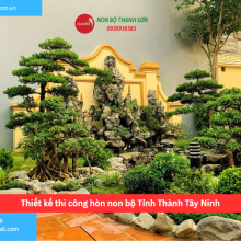 Bảng báo giá thiết kế thi công hòn non bộ Tỉnh Thành Tây Ninh