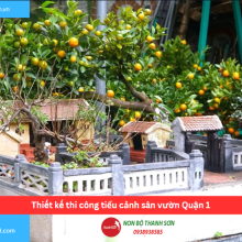 Bảng báo giá thiết kế thi công tiểu cảnh sân vườn Quận 1