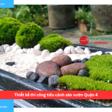 Bảng báo giá thiết kế thi công tiểu cảnh sân vườn Quận 4
