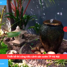 Bảng báo giá thiết kế thi công tiểu cảnh sân vườn TP Hà Nội