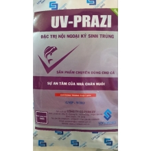 UV-Prazi: Giải Pháp Hiệu Quả Cho Hồ Cá Koi Sạch Và Khỏe Mạnh