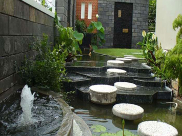 Mẫu hồ cá đẹp ngoài trời