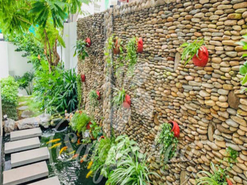 Nguyên Tắc Bố Trí Cây Cảnh Trong Sân Vườn
