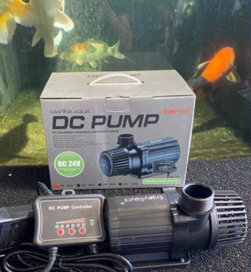 Bơm MARINE AQUA 24V DC3000: Giải pháp tối ưu cho hồ cá và cảnh quan