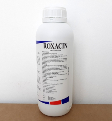 Kháng sinh Roxacin Enrofloxacin chống nhiễm khuẩn - chai 1lit /100ml