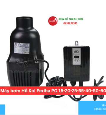Máy bơm Hồ Koi Periha PG 15-20-25-35-40-50-60