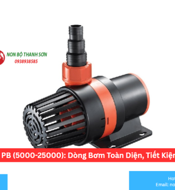 Máy bơm Periha Pb 5000-7000-9000-10000-12000-14000-16000-18000-20000-23000 -25000 Điều Chỉnh Lưu Lượng 3 Chế Độ