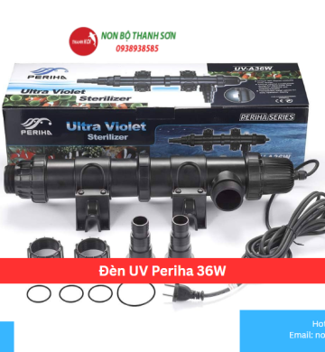 Đèn UV Periha 36W