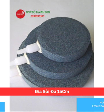 Đĩa Sủi Đá 15Cm