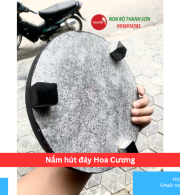 Nấm hút đáy Hoa Cương