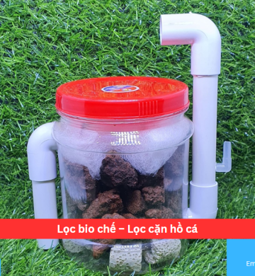 Lọc bio chế – Lọc cặn hồ cá