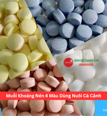 Muối Khoáng Nén 4 Màu Dùng Nuôi Cá Cảnh