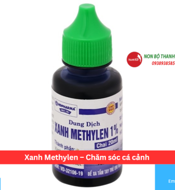 Xanh Methylen – Chăm sóc cá cảnh