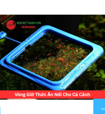 Vòng Giữ Thức Ăn Nổi Cho Cá Cảnh