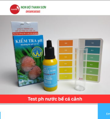 Test ph nước bể cá cảnh