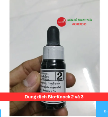 Dung dịch Bio-Knock 2 và 3