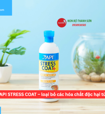 Dung dịch API STRESS COAT – loại bỏ các hóa chất độc hại từ nước máy