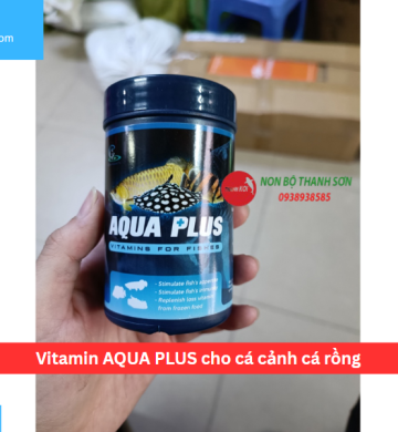 Vitamin AQUA PLUS cho cá cảnh cá rồng