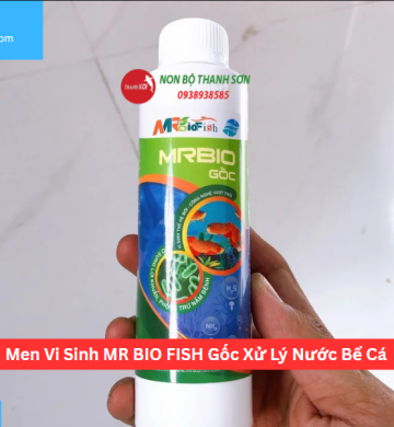 Men Vi Sinh MR BIO FISH Gốc Xử Lý Nước Bể Cá
