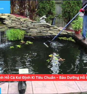 Vệ Sinh Hồ Cá Koi Định Kì Tiêu Chuẩn – Bảo Dưỡng Hồ Cá Koi