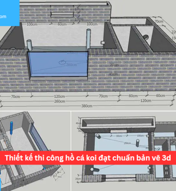 Thiết kế thi công hồ cá koi đạt chuẩn bản vẽ 3d