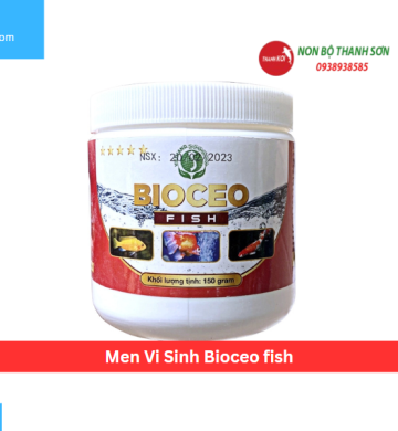 Men Vi Sinh Bioceo fish