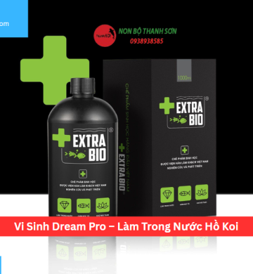 Vi Sinh Dream Pro – Làm Trong Nước Hồ Koi