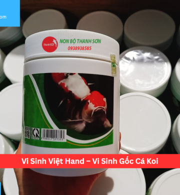 Vi Sinh Việt Hand – Vi Sinh Gốc Cá Koi