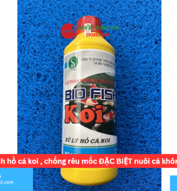 BIO- FISH KOI vi sinh hồ cá koi , chống rêu mốc ĐẶC BIỆT nuôi cá không phải THAY NƯỚC