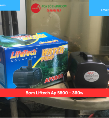 Bơm Liftech Ap 5800 – 360w