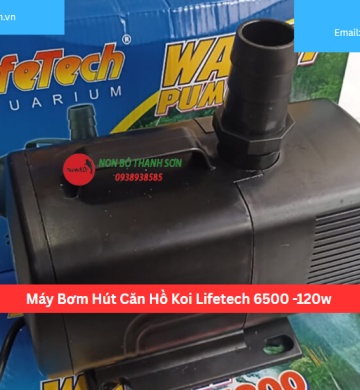 Máy Bơm Hút Căn Hồ Koi Lifetech 6500 -120w