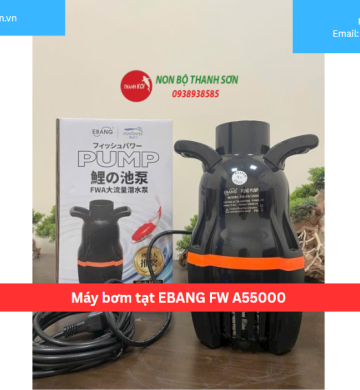 Máy bơm tạt EBANG FW A55000