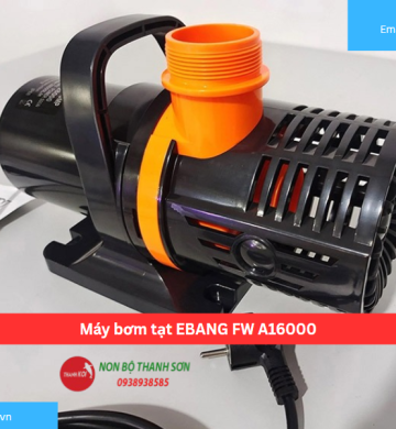 Máy bơm tạt EBANG FW A16000