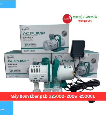 Máy Bơm Ebang Eb G25000- 200w -25000L